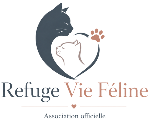 RVF